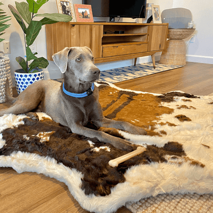 PupRug™ Animal Print Memory Foam Dog Bed - Brown Faux Cowhide