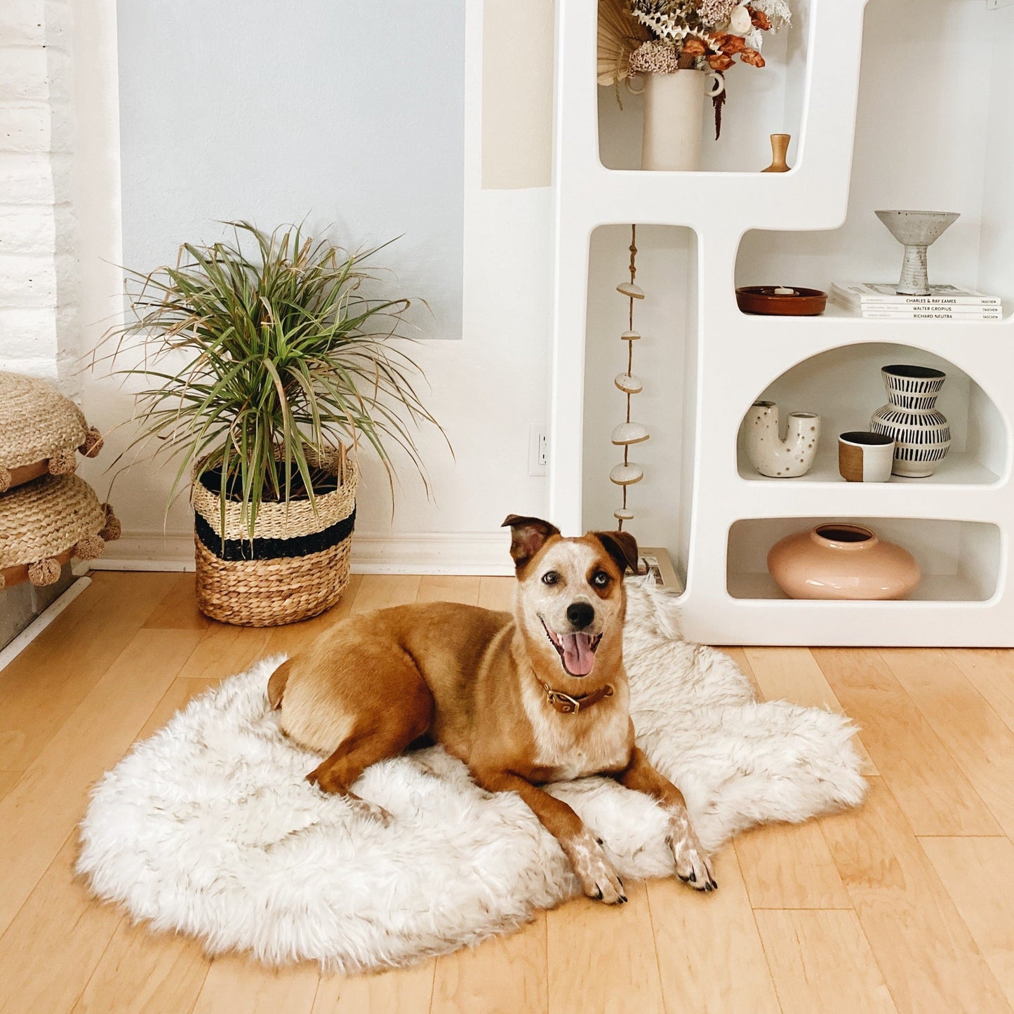 PupRug by Paw.com™ Faux Fur Orthopedic Dog Bed - Curve White with Brown Accents