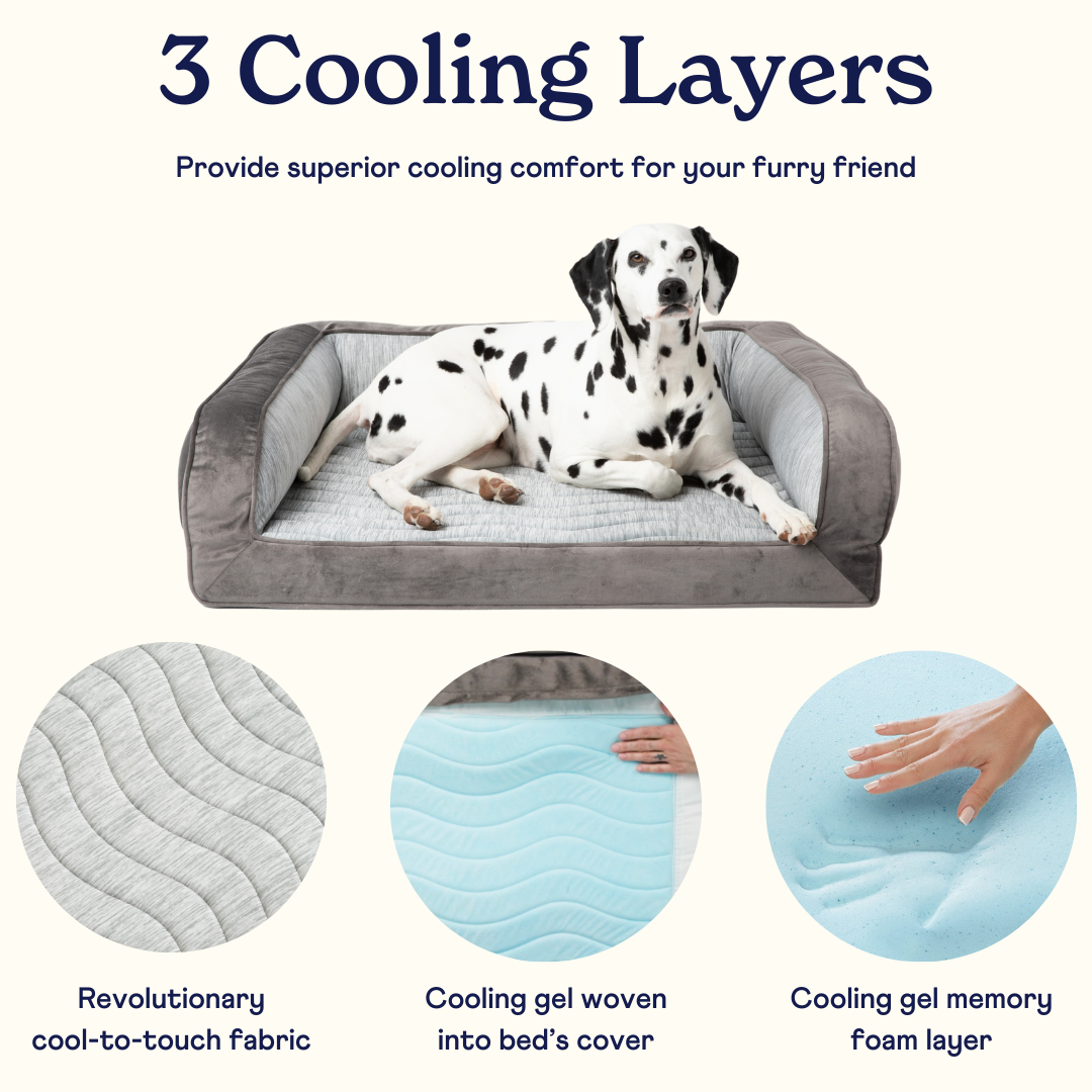 Cooling orthopedic dog bed best sale