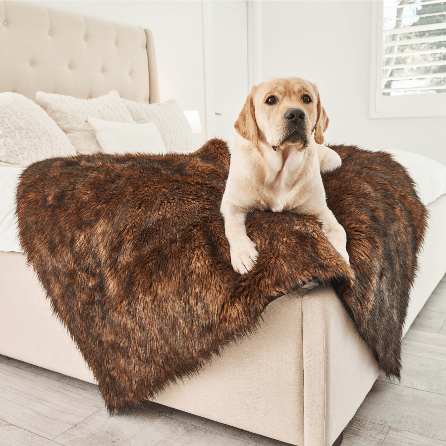 PupProtector™ Waterproof Throw Blanket - Brown