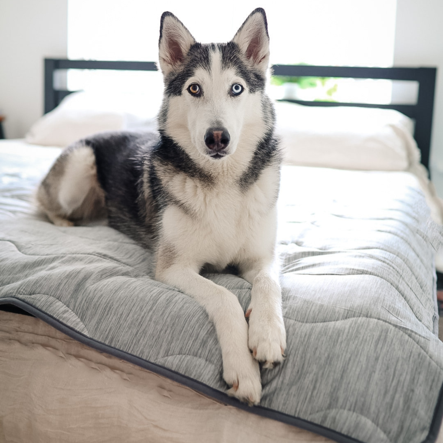 PupChill™ Cooling Waterproof Blanket - Arctic Grey