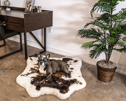 PupRug™ Animal Print Memory Foam Dog Bed - Brown Faux Cowhide