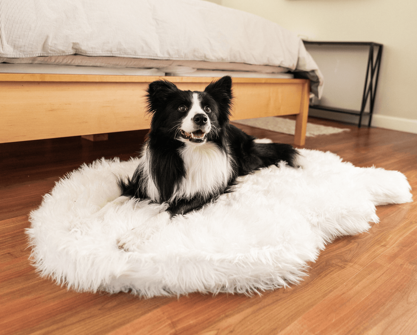 PupRug by Paw.com™ Faux Fur Orthopedic Dog Bed - Curve Polar White