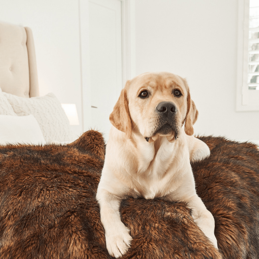 PupProtector™ Waterproof Throw Blanket - Brown