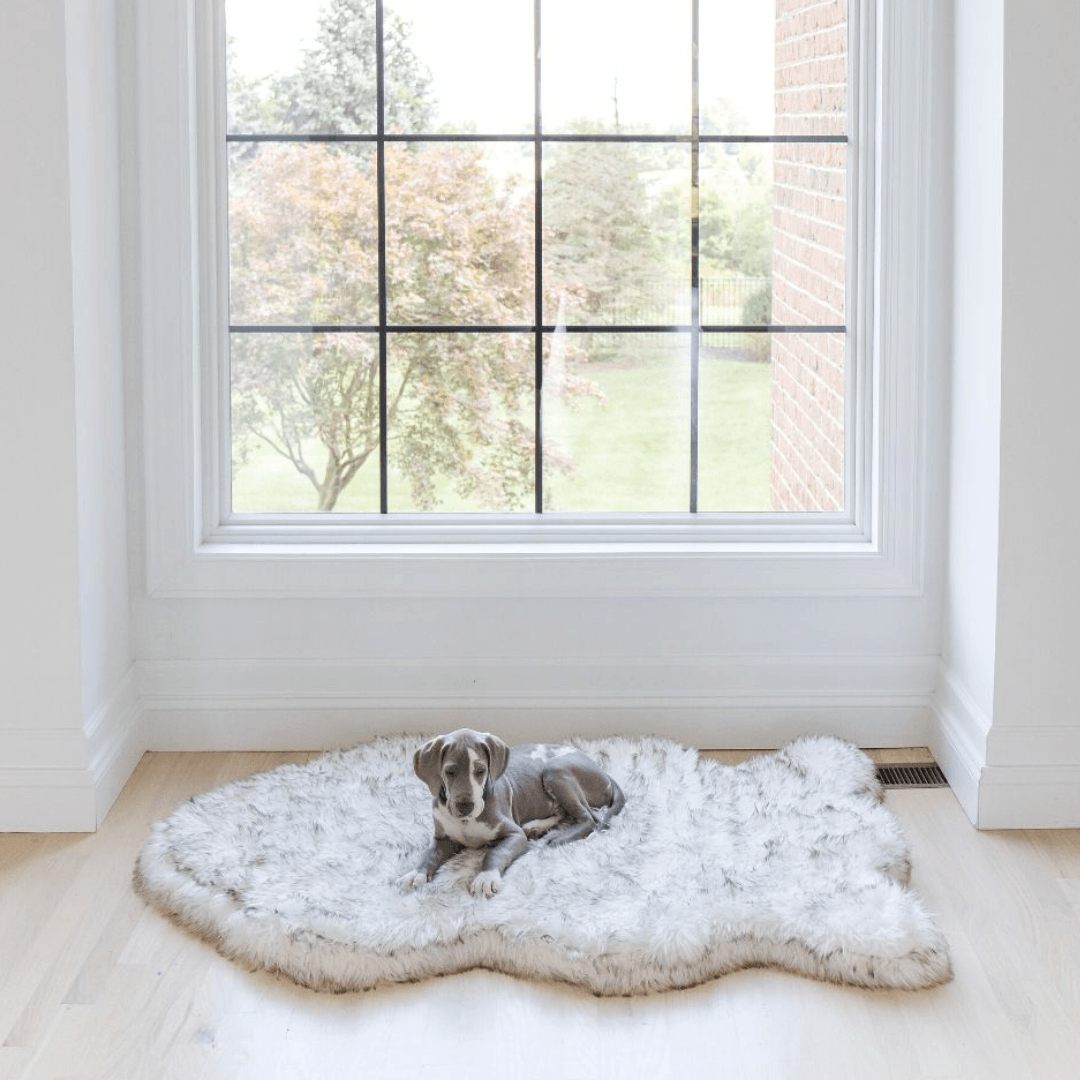 PupRug by Paw.com™ Faux Fur Orthopedic Dog Bed - Curve White with Brown Accents