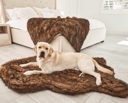 PupRug by Paw.com™ Faux Fur Orthopedic Dog Bed - Curve Brown