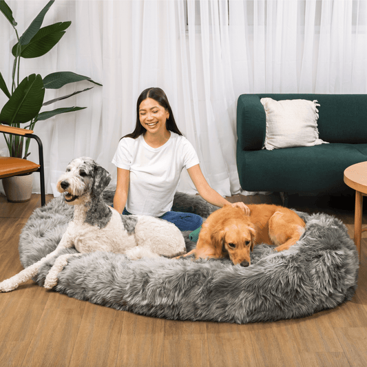 PupCloud™ Human-Size Faux Fur Memory Foam Dog Bed - Charcoal Grey