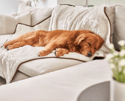 PupProtector™ Short Fur Waterproof Throw Blanket - Polar White